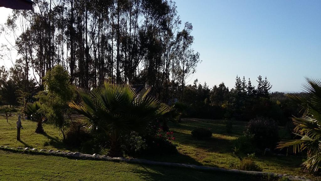 La Querencia De Algarrobo