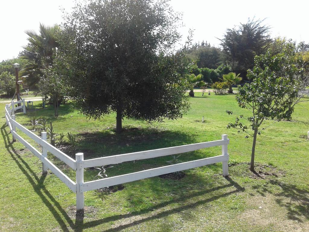 La Querencia De Country house Algarrobo